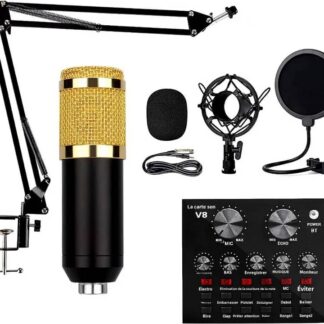 Kit microphone studio BM-800 – Bras articulé, carte son V8 & filtre anti-pop